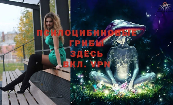 стафф Абинск