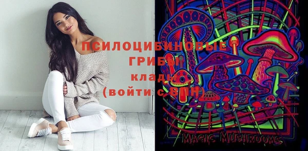 стафф Абинск