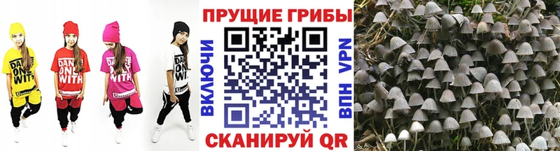 купить наркотики сайты  мориарти как зайти  hydra маркетплейс  Галлюциногенные грибы мухоморы  Инза 